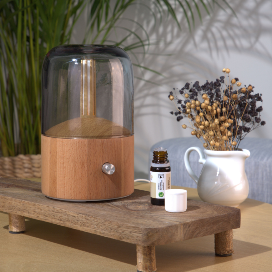 LA120325 LA Ovlaživač zraka, aroma difuzor DAVY MIST